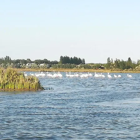 Toscana Apartament Rawenna